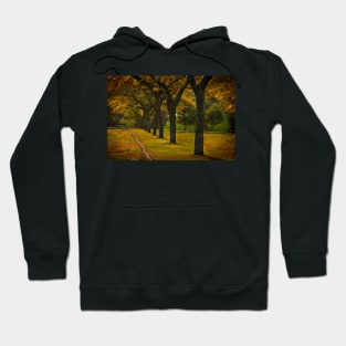 Autumn Leaves Hoodie